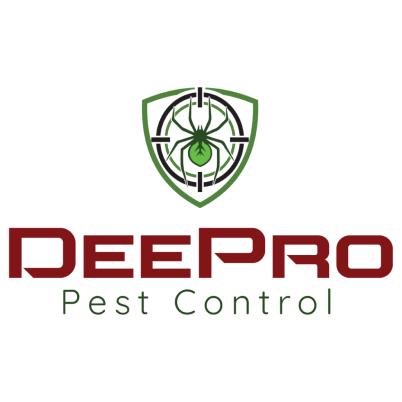 deepro-hakkimizda
